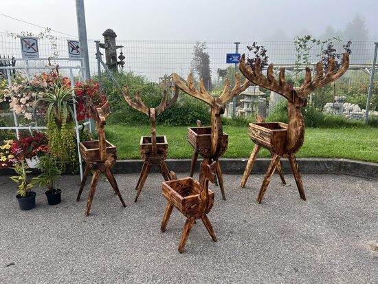4 ragų elnias