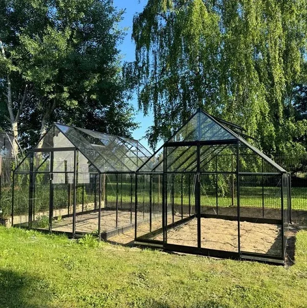 Qube 812